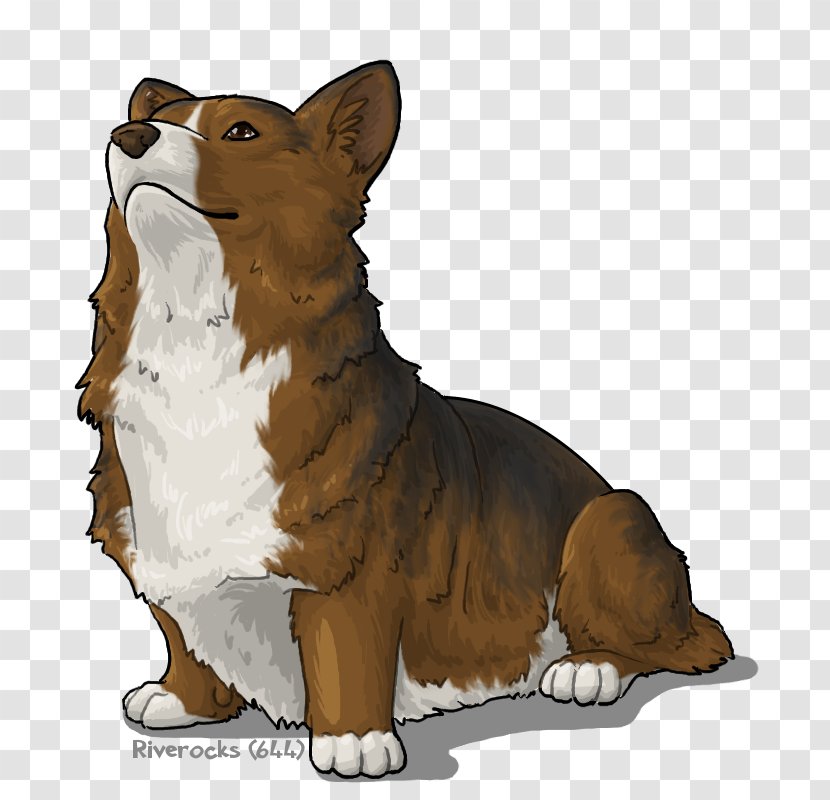 Pembroke Welsh Corgi Dog Breed Wales Razas Nativas Vulnerables - People Transparent PNG