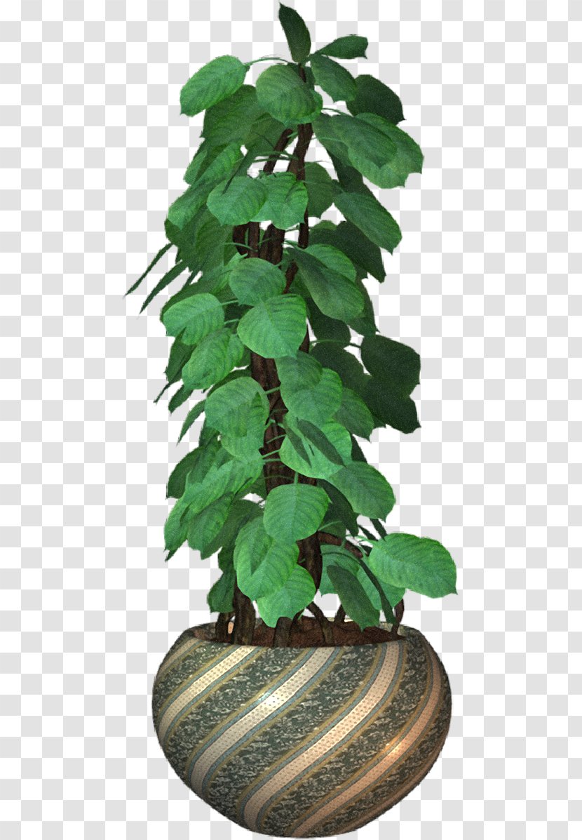 Flowerpot Plant - Tree Transparent PNG