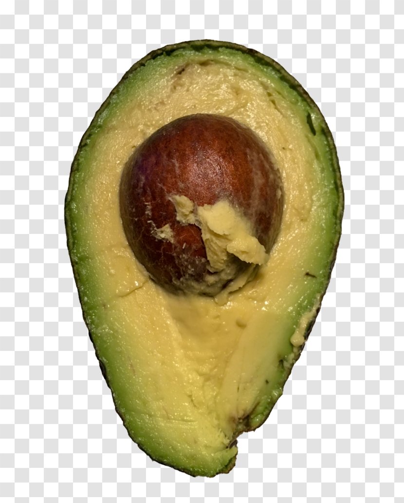 Avocado Stock Photography Image - Food Transparent PNG