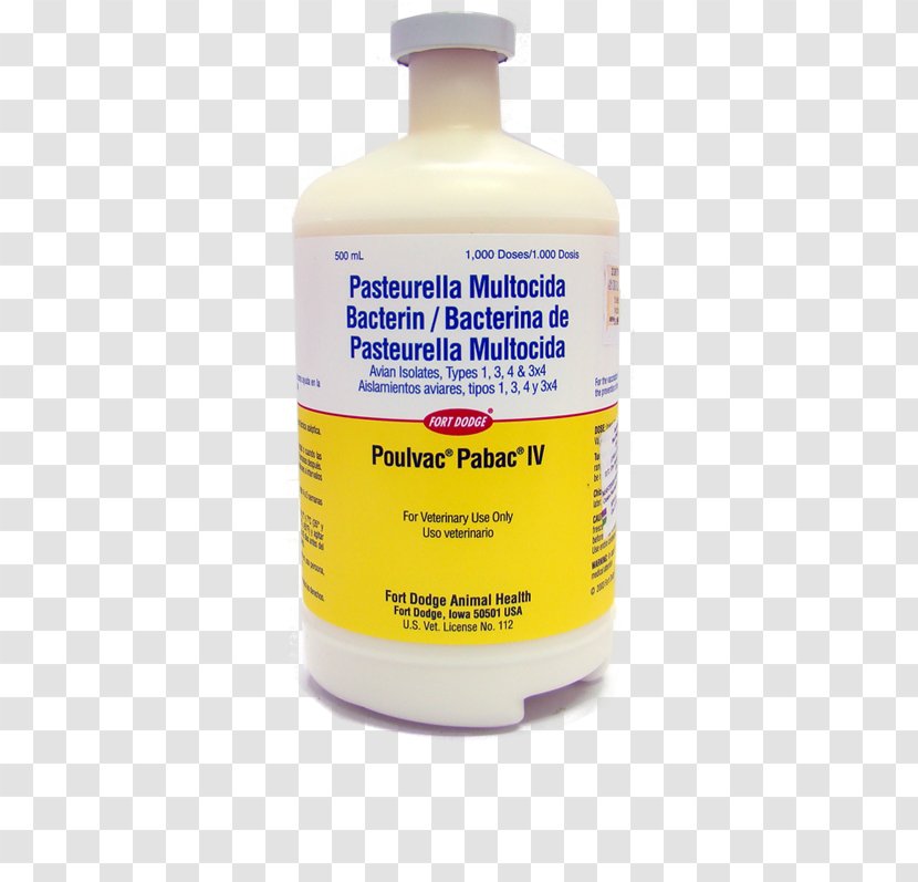 Fowl Cholera Vaccine Fowlpox Disease - Therapy - PollOS Transparent PNG