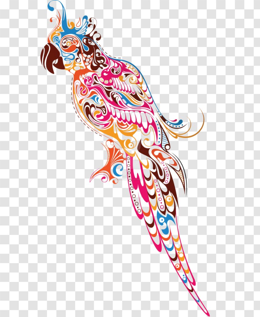Parrot Drawing Color Bird Clip Art - Line - Abstracts Transparent PNG