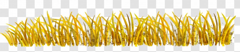 Yellow Commodity - Golden Wheat Transparent PNG