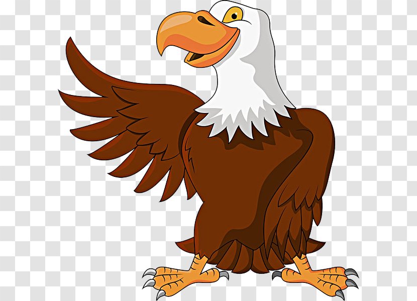 Cartoon Eagle Illustration - Drawing - Big Nose Transparent PNG