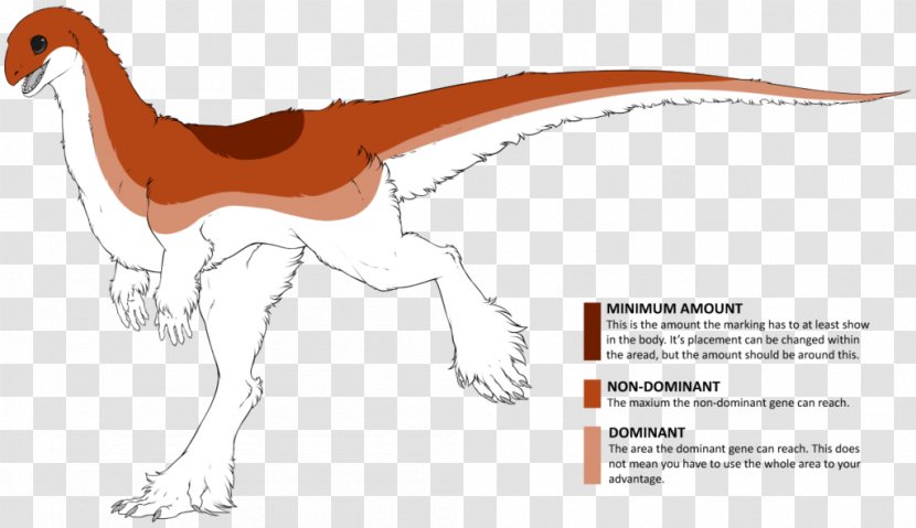 Canidae Dog Line Art Cartoon Clip - Velociraptor Transparent PNG
