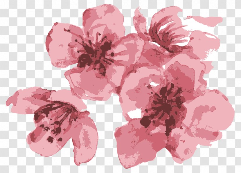 Watercolor Pink Flowers - Pennsylvania - Geranium Flowering Plant Transparent PNG