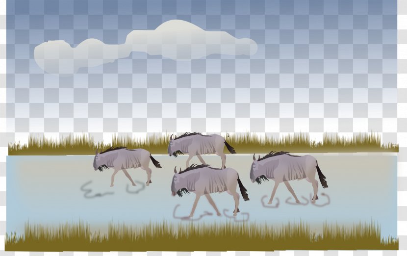 Wildebeest Clip Art Horse Illustration Vector Graphics Transparent PNG