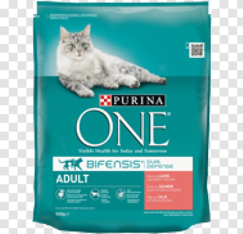Cat Food Purina One Nestlé PetCare Company - Hairball Transparent PNG