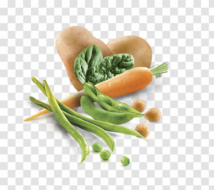 Leaf Vegetable Vegetarian Cuisine Diet Food Recipe - Carrot - Frozen Non Veg Transparent PNG