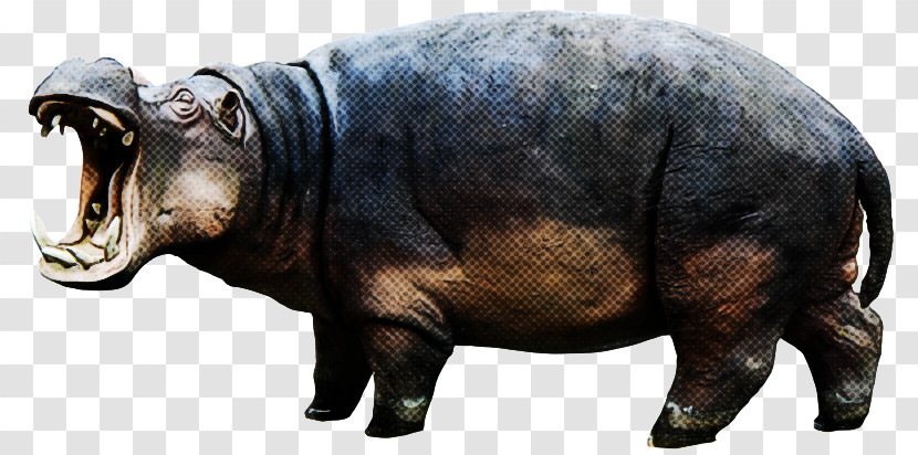 Rhinoceros Blog Snout Number Transparent PNG
