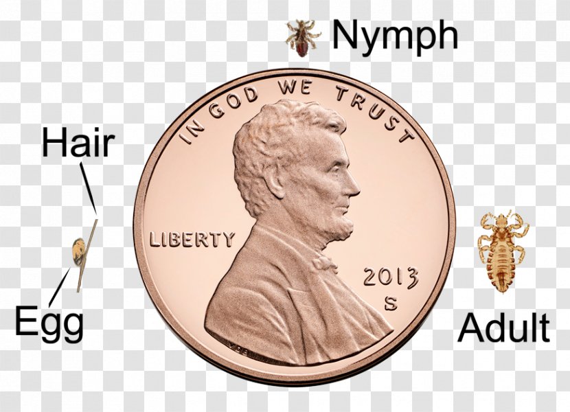 Lincoln Memorial Penny Cent Coin Mint Transparent PNG