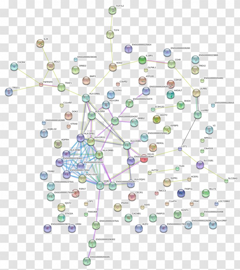 Line Point Diagram Transparent PNG