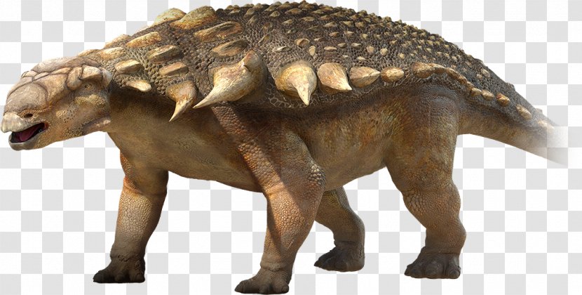 Nodosaurus Ankylosaurus Sauropelta Edmontonia Tyrannosaurus - The Film Roll Transparent PNG