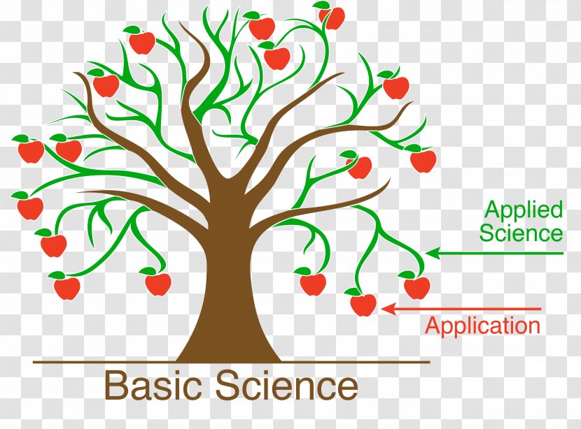 Basic Research Science Scientist Electrical Engineering - Curiosity - Trunk Transparent PNG