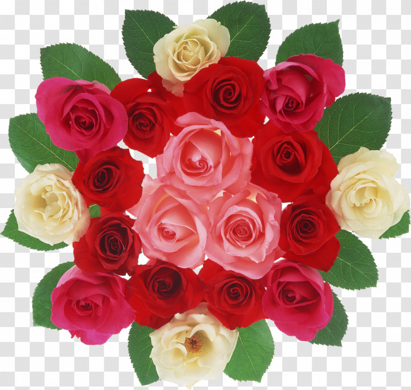 Garden Roses Transparent PNG