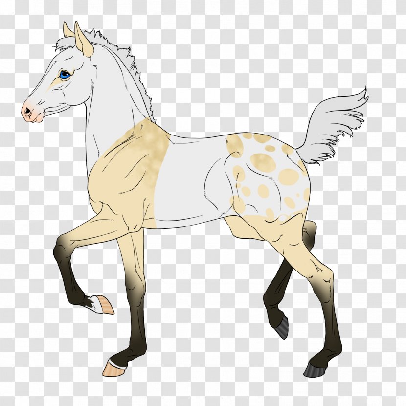 Foal Mustang Stallion Colt Halter - Character Transparent PNG