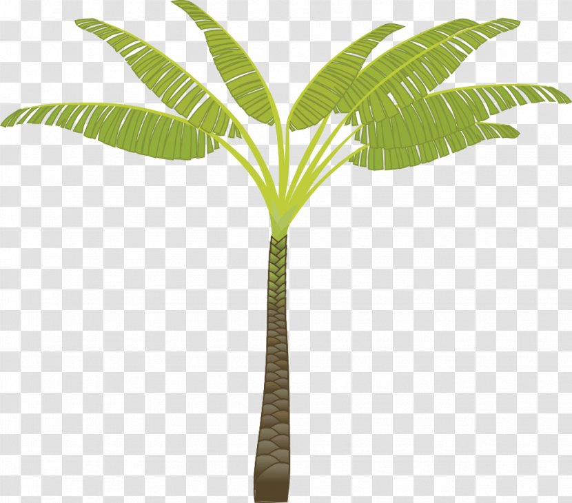 Arecaceae Tree Clip Art - Cartoon - Palm Transparent PNG