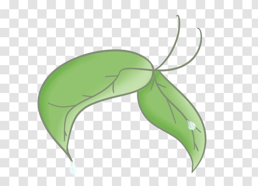 Butterfly Insect Pollinator Leaf - Silhouette - Tea Leaves Transparent PNG