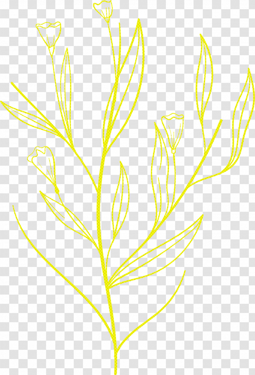 Simple Leaf Simple Leaf Drawing Simple Leaf Outline Transparent PNG