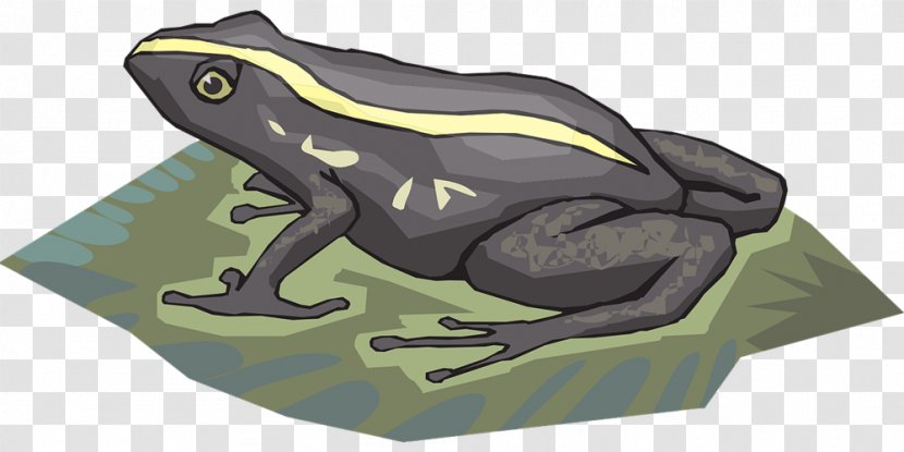 Frog Amphibian Tadpole Clip Art - Strong Cliparts Transparent PNG