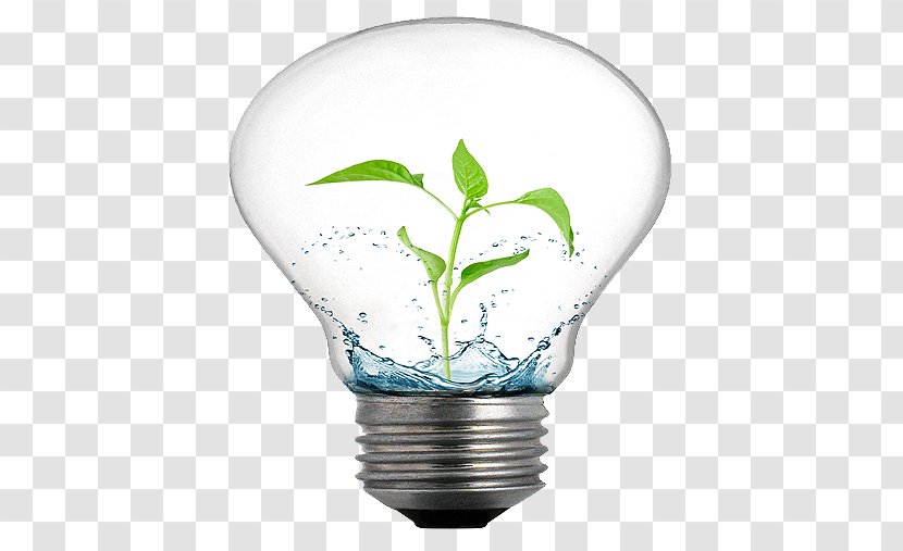Efficient Energy Use Incandescent Light Bulb Efficiency Idea Transparent PNG