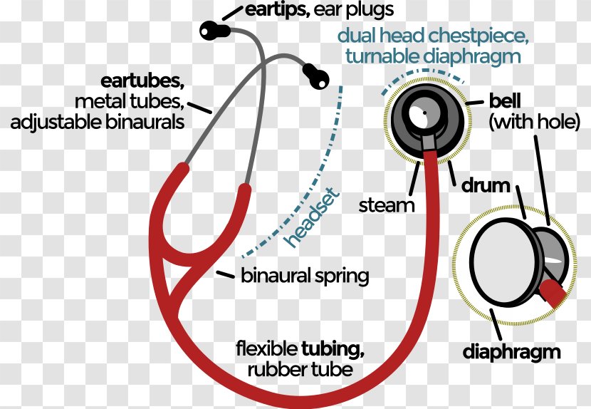 Stethoscope Physician Auscultation Cardiology Medicine - Frame - Blood Pressure Transparent PNG