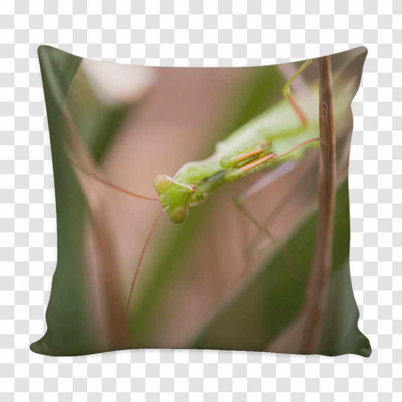 Throw Pillows Cushion Insect Decorative Photo Pillow - Boutique - 1960s Flower Pattern Transparent PNG