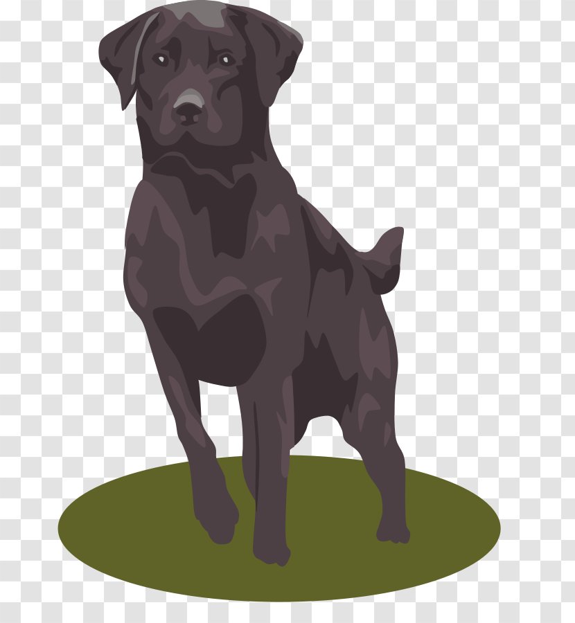 Labrador Retriever Golden Puppy Clip Art - Free Panther Clipart Transparent PNG