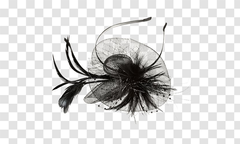 Invertebrate - Black And White - Monochrome Photography Transparent PNG