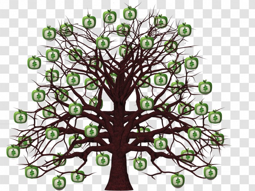 Money Finance Investment Saving Value - Woody Plant - Tree Transparent PNG