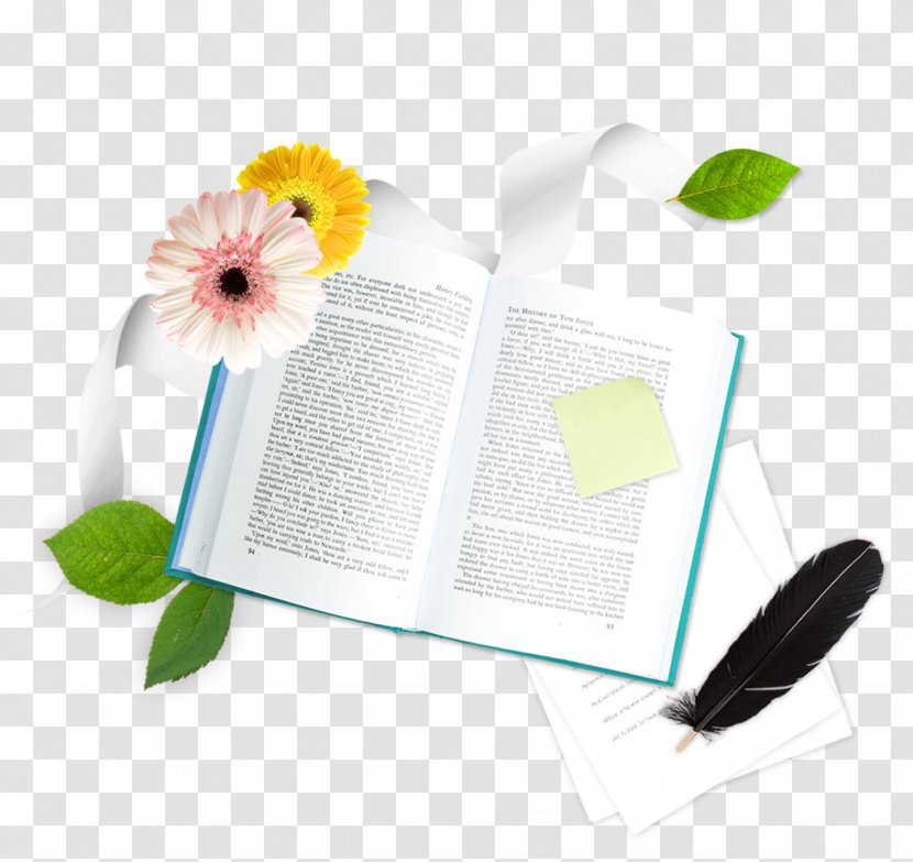 Book Feather Transparent PNG