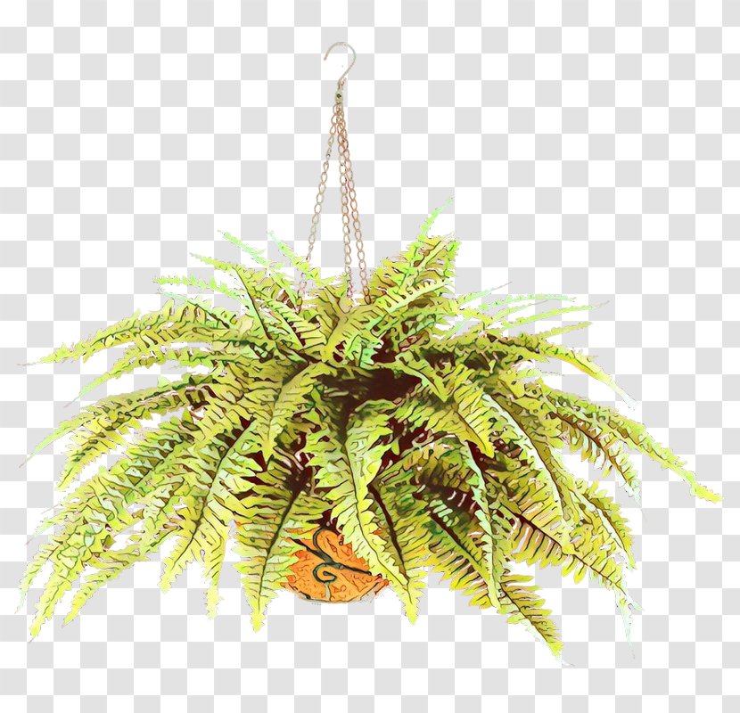 Palm Tree - Fern Flower Transparent PNG