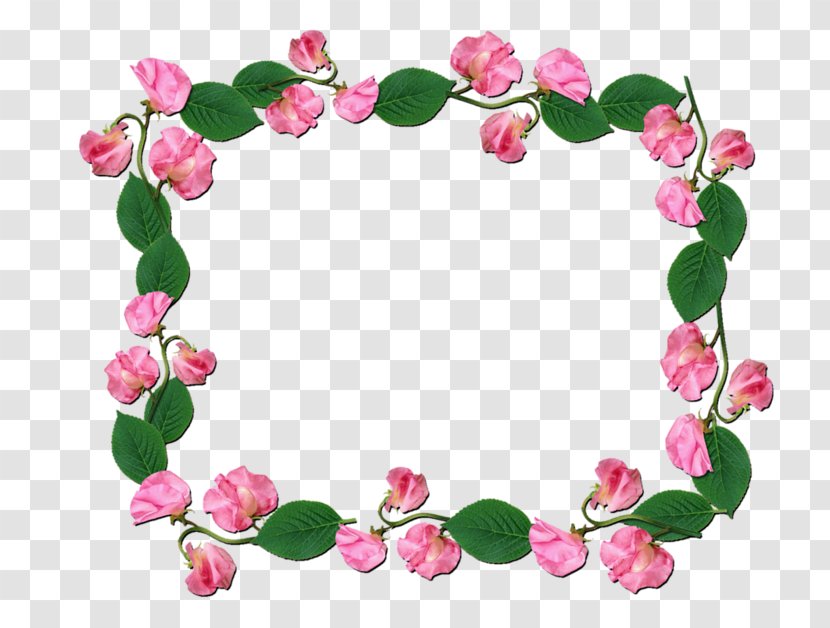 Flower Floral Design Sweet Pea Petal Rose Family Transparent PNG