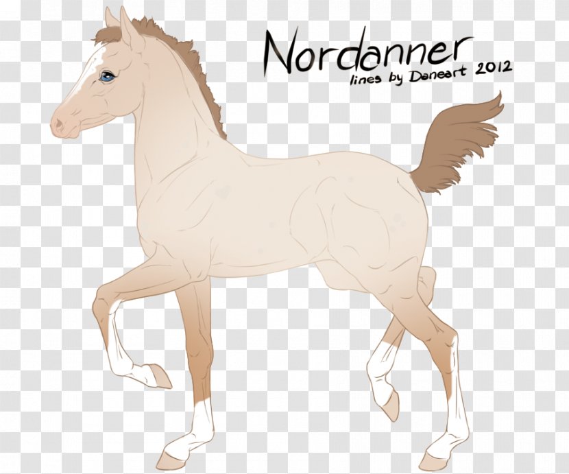 Pony Foal Stallion Mustang Mare - Art Transparent PNG