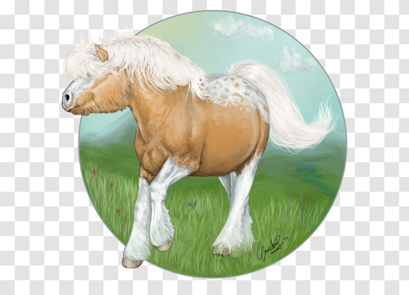 Mustang Stallion Foal Mare Pony Transparent PNG