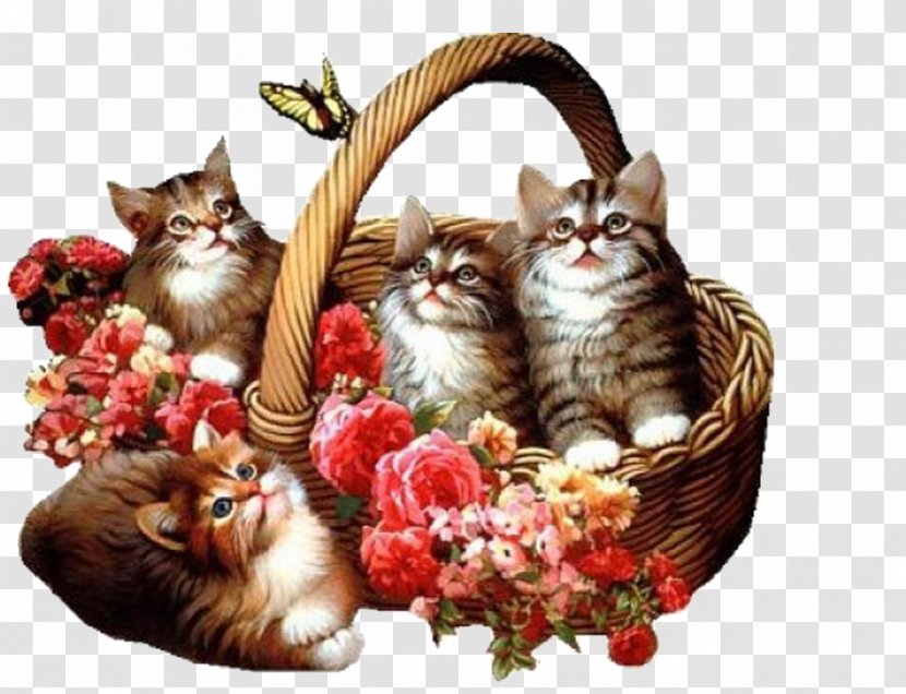 Kitten Flower Blue Rose Animation - Litter Of Kittens Transparent PNG