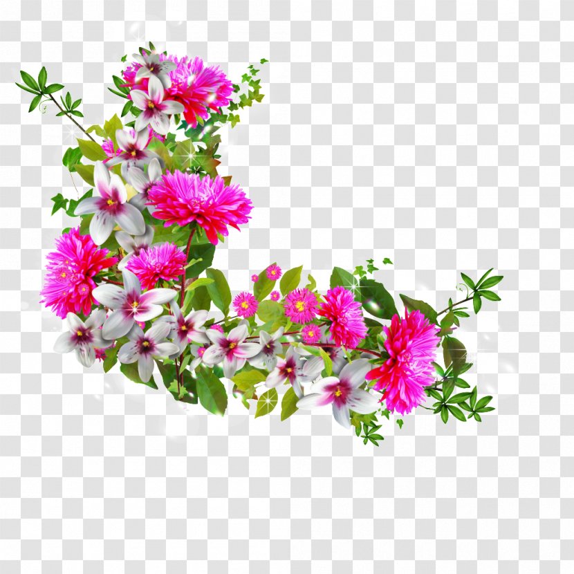 Floral Design Flower Image - Petal - Detailed Transparent PNG