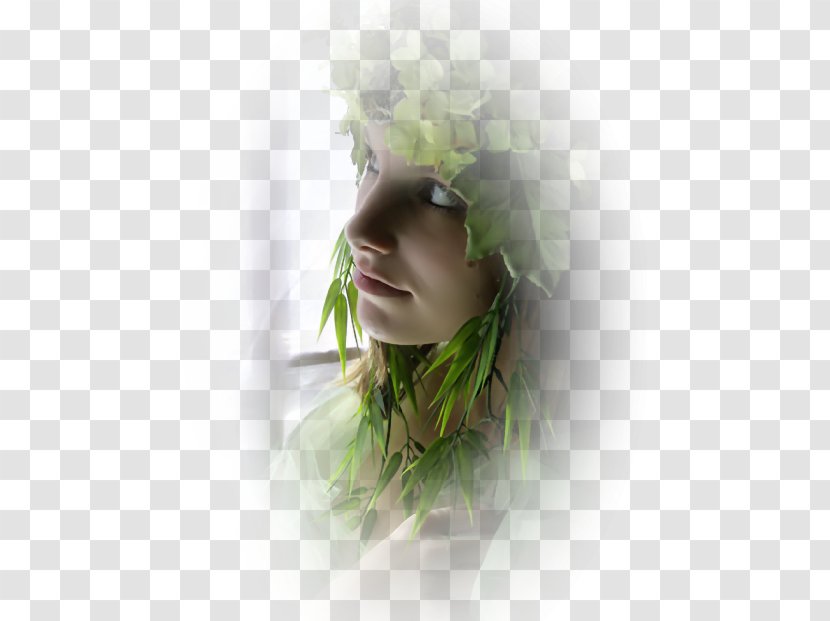 Floral Design LiveInternet Clip Art - Quotation Transparent PNG