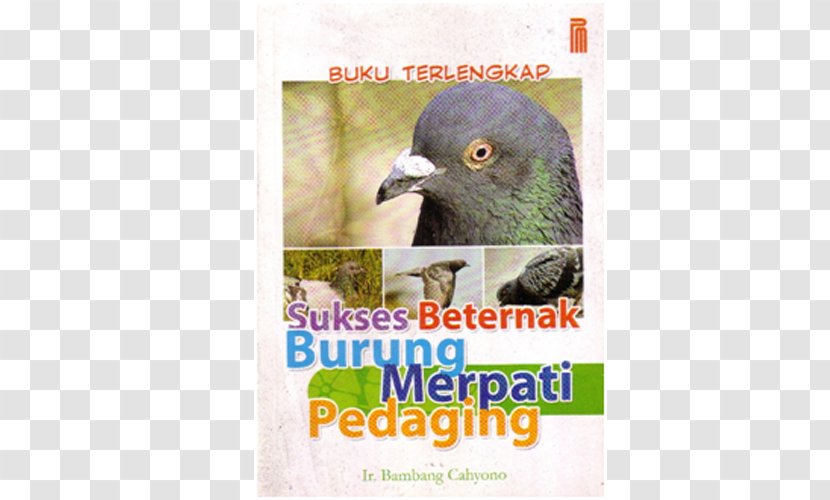 Book Novel Bird Indonesian Food - Beak Transparent PNG