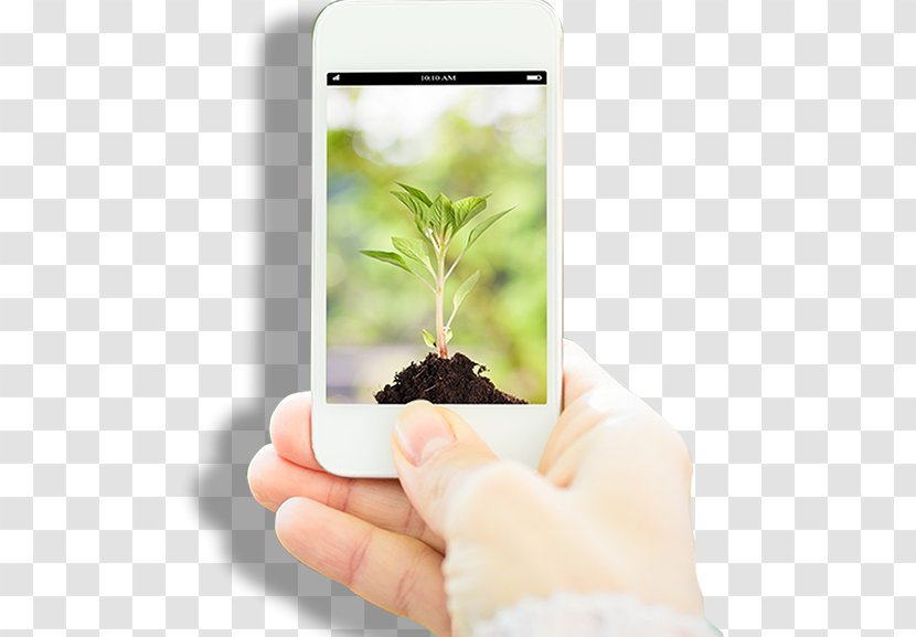 Natural Environment Sustainability Smartphone Celebrate Earth Day Mobile App Transparent PNG