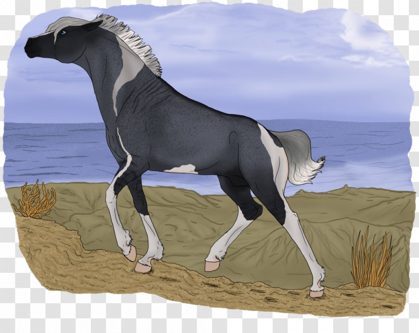 Stallion Mustang Foal Mare Rein - Pony - Fell Roan Transparent PNG