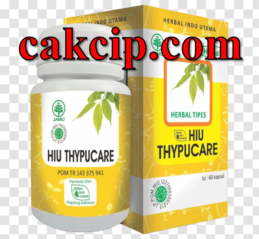 Typhoid Fever Herb Health Pharmacy Spirulina - Insulin Transparent PNG