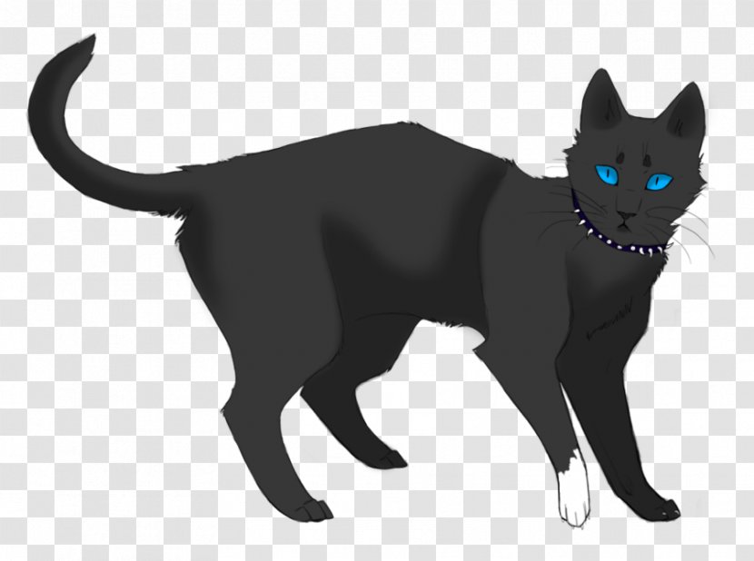 Cats Of The Clans Warriors Drawing ThunderClan - Warrior - Twilight Background Transparent PNG