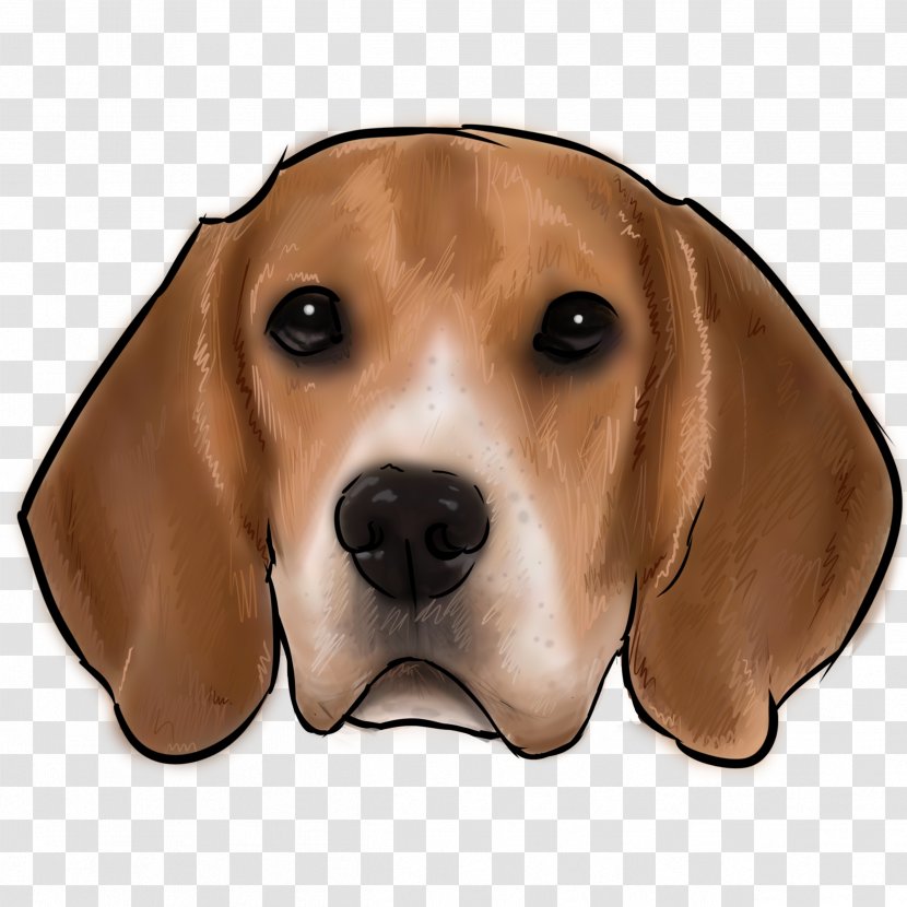 Beagle Treeing Walker Coonhound Harrier Redbone English Foxhound - Vertebrate - Puppy Transparent PNG