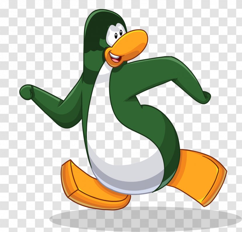 Club Penguin Bird Clothing Transparent PNG