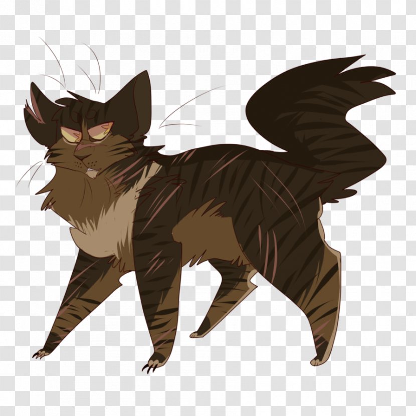 Kitten Whiskers Tabby Cat Tigerstar Warriors Transparent PNG