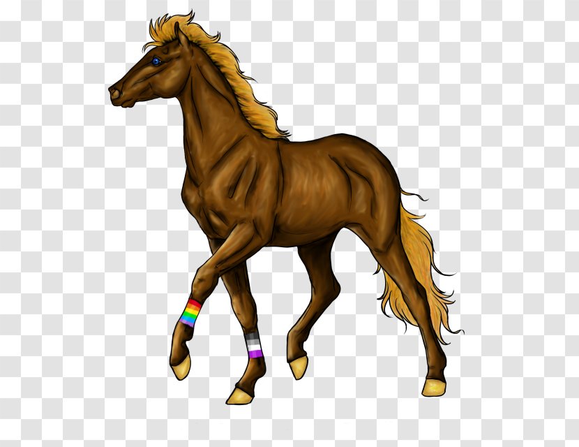 Mane Foal Pony Mustang Halter - Stallion Transparent PNG