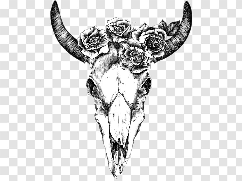Texas Longhorn Drawing Human Skull Symbolism Bull - Supernatural Creature Transparent PNG