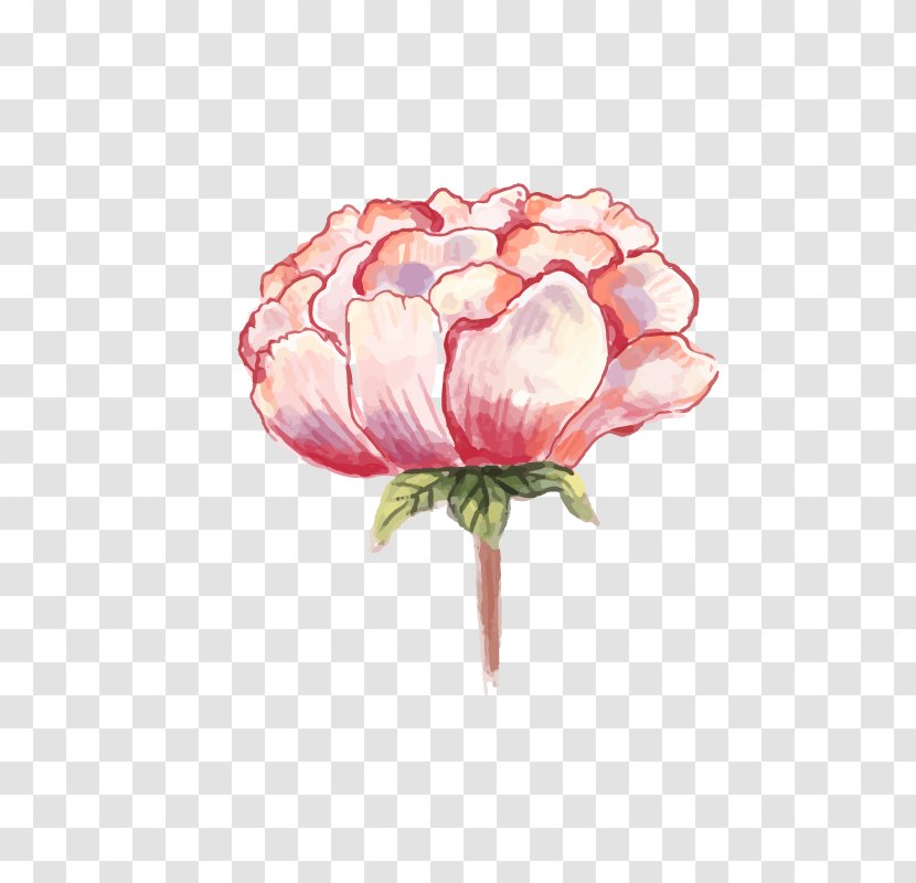 Watercolor: Flowers Watercolor Painting Peony Transparent PNG