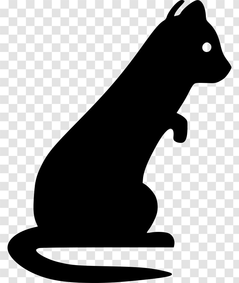 Whiskers Weasels Ferret Cat Pet - Canidae Transparent PNG