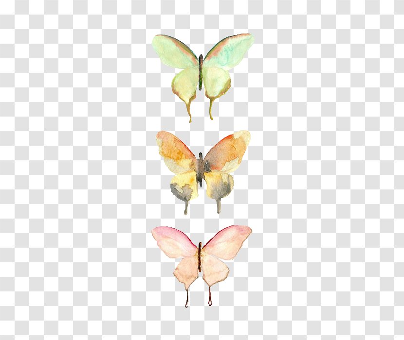 Butterfly Watercolor Painting Drawing Art - Aestheticism Transparent PNG